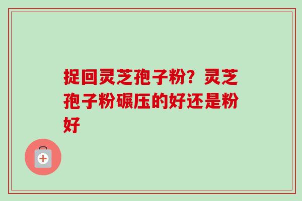 捉回灵芝孢子粉？灵芝孢子粉碾压的好还是粉好