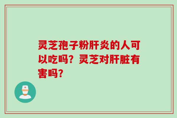 灵芝孢子粉肝炎的人可以吃吗？灵芝对肝脏有害吗？