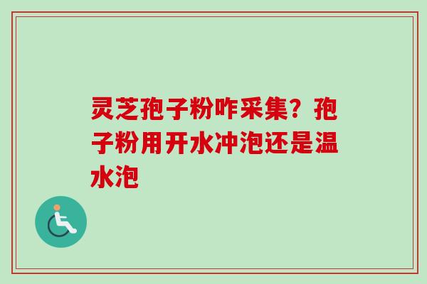 灵芝孢子粉咋采集？孢子粉用开水冲泡还是温水泡