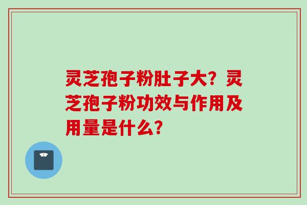 灵芝孢子粉肚子大？灵芝孢子粉功效与作用及用量是什么？
