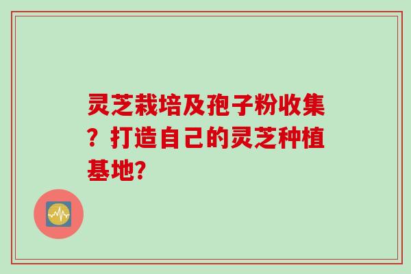 灵芝栽培及孢子粉收集？打造自己的灵芝种植基地？