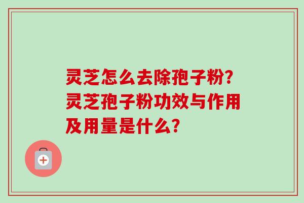 灵芝怎么去除孢子粉？灵芝孢子粉功效与作用及用量是什么？