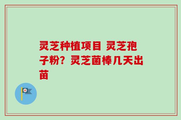 灵芝种植项目 灵芝孢子粉？灵芝菌棒几天出苗