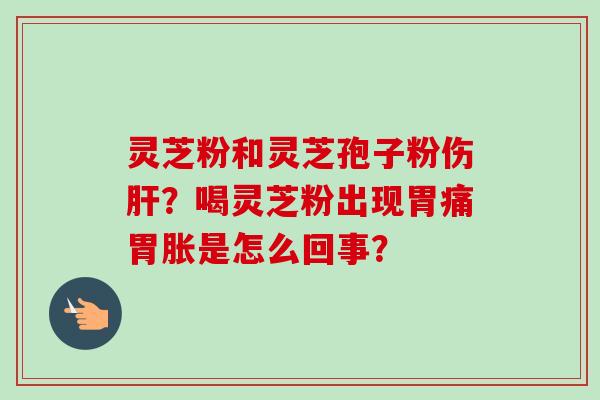 灵芝粉和灵芝孢子粉伤肝？喝灵芝粉出现胃痛胃胀是怎么回事？