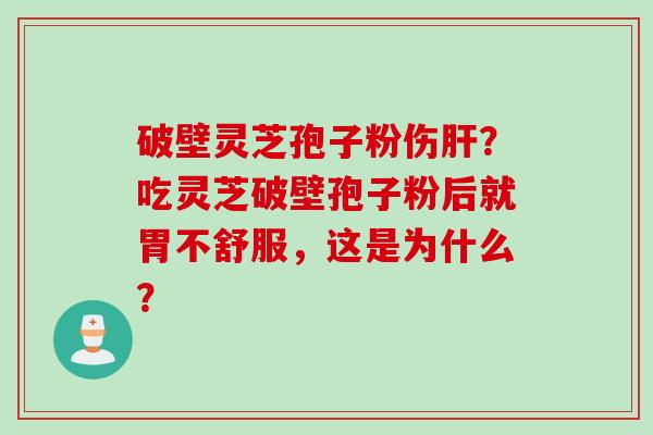 破壁灵芝孢子粉伤肝？吃灵芝破壁孢子粉后就胃不舒服，这是为什么？