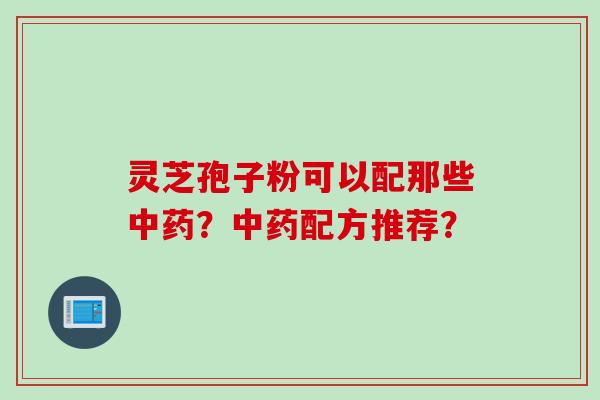 灵芝孢子粉可以配那些中药？中药配方推荐？