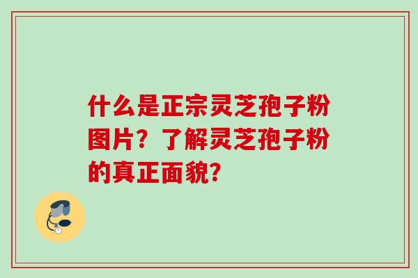 什么是正宗灵芝孢子粉图片？了解灵芝孢子粉的真正面貌？