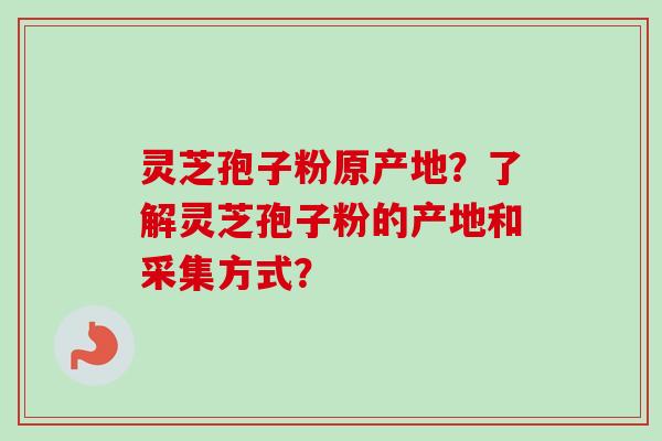 灵芝孢子粉原产地？了解灵芝孢子粉的产地和采集方式？