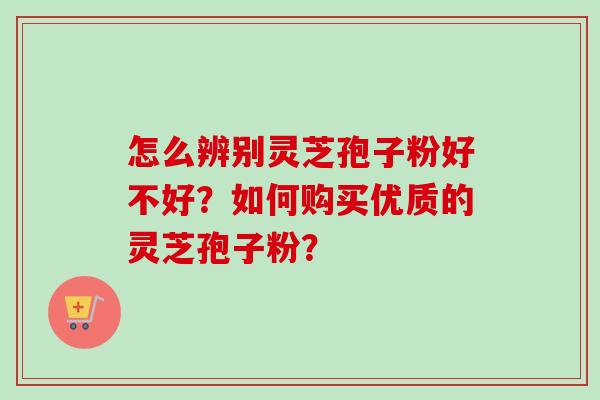 怎么辨别灵芝孢子粉好不好？如何购买优质的灵芝孢子粉？