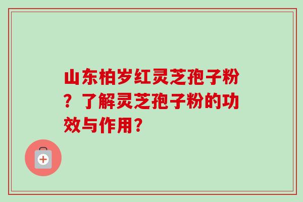 山东柏岁红灵芝孢子粉？了解灵芝孢子粉的功效与作用？