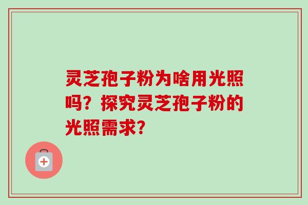 灵芝孢子粉为啥用光照吗?探究灵芝孢子粉的光照需求? 灵芝孢子粉为啥用光照吗?探究灵芝孢子粉的光照需求?