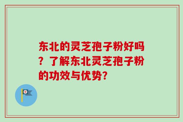 东北的灵芝孢子粉好吗？了解东北灵芝孢子粉的功效与优势？