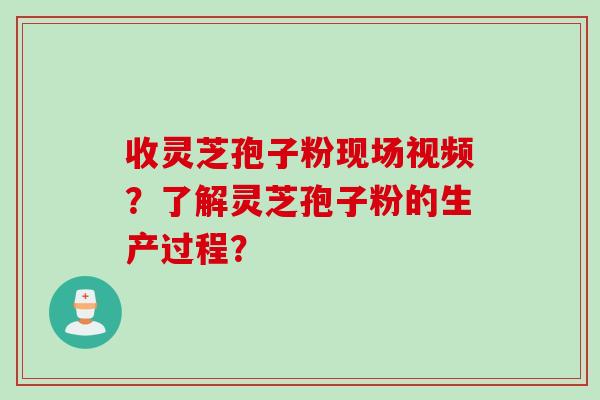 收灵芝孢子粉现场视频？了解灵芝孢子粉的生产过程？