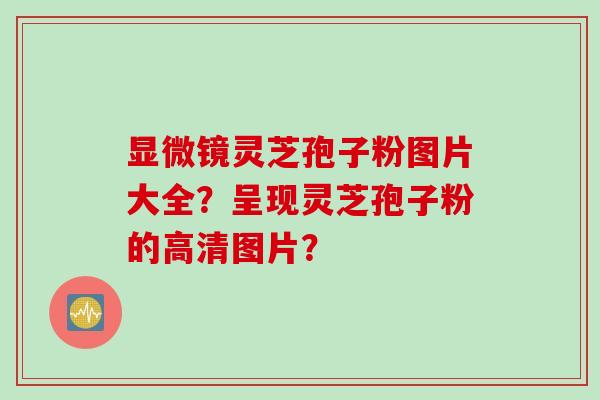 显微镜灵芝孢子粉图片大全？呈现灵芝孢子粉的高清图片？