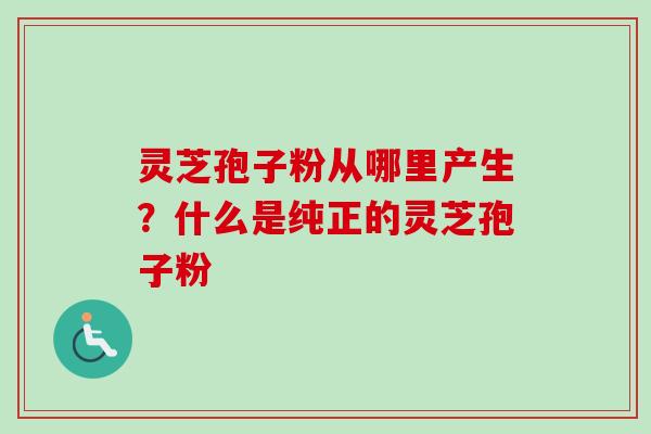 灵芝孢子粉从哪里产生？什么是纯正的灵芝孢子粉