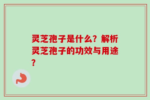 灵芝孢子是什么？解析灵芝孢子的功效与用途？