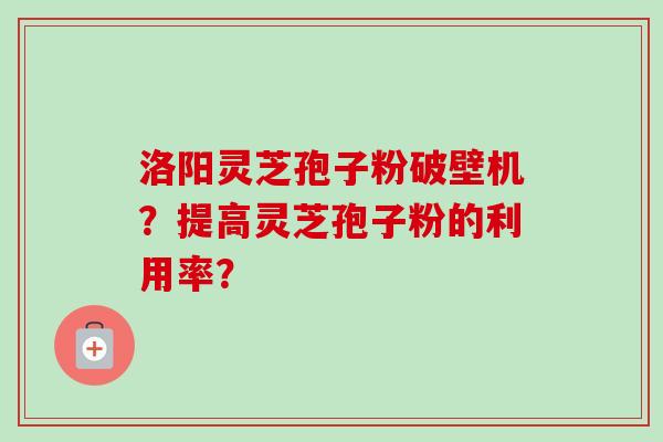 洛阳灵芝孢子粉破壁机？提高灵芝孢子粉的利用率？