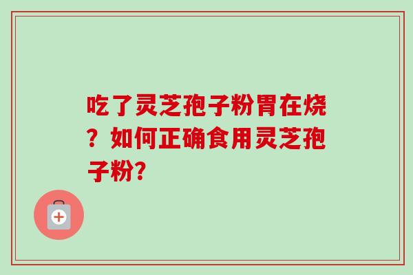 吃了灵芝孢子粉胃在烧？如何正确食用灵芝孢子粉？