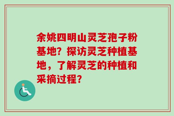 余姚四明山灵芝孢子粉基地？探访灵芝种植基地，了解灵芝的种植和采摘过程？