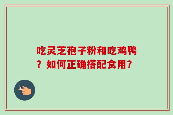 吃灵芝孢子粉和吃鸡鸭？如何正确搭配食用？