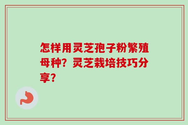 怎样用灵芝孢子粉繁殖母种？灵芝栽培技巧分享？