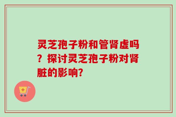 灵芝孢子粉和管肾虚吗？探讨灵芝孢子粉对肾脏的影响？