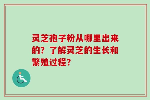 灵芝孢子粉从哪里出来的？了解灵芝的生长和繁殖过程？