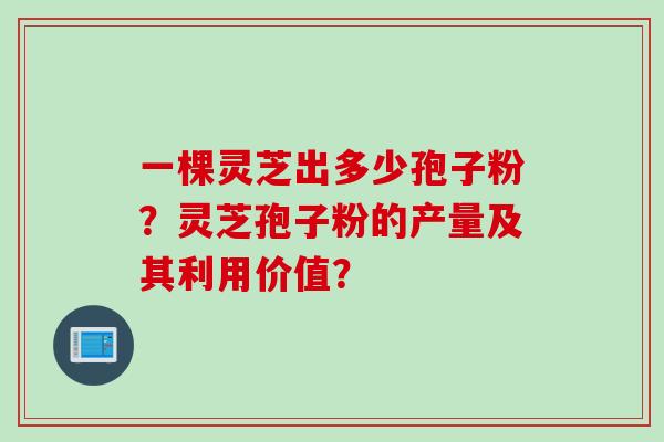 一棵灵芝出多少孢子粉？灵芝孢子粉的产量及其利用价值？