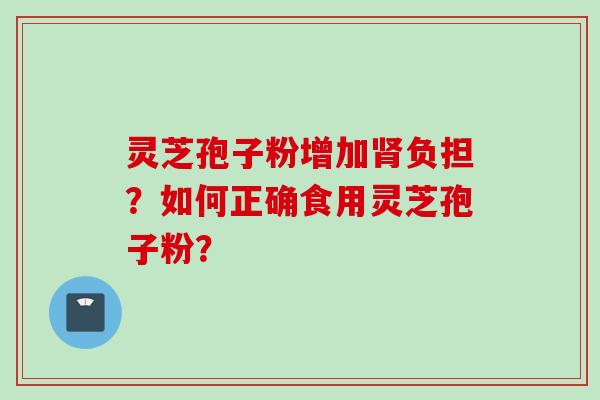 灵芝孢子粉增加肾负担？如何正确食用灵芝孢子粉？