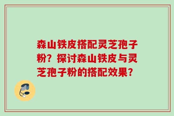 森山铁皮搭配灵芝孢子粉？探讨森山铁皮与灵芝孢子粉的搭配效果？