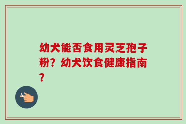 幼犬能否食用灵芝孢子粉？幼犬饮食健康指南？