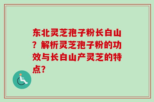东北灵芝孢子粉长白山？解析灵芝孢子粉的功效与长白山产灵芝的特点？