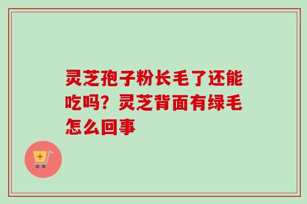 灵芝孢子粉长毛了还能吃吗？灵芝背面有绿毛怎么回事