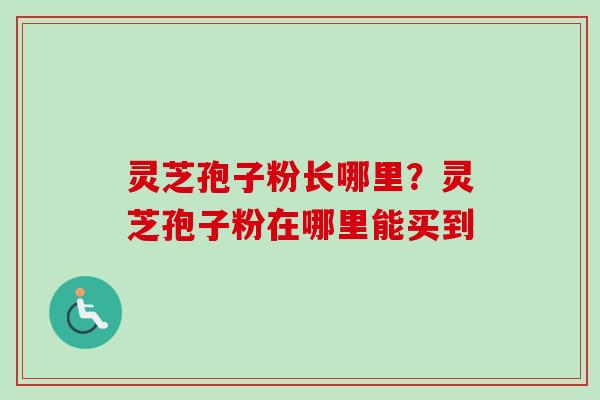 灵芝孢子粉长哪里？灵芝孢子粉在哪里能买到