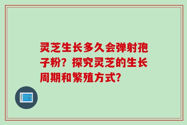 灵芝生长多久会弹射孢子粉？探究灵芝的生长周期和繁殖方式？