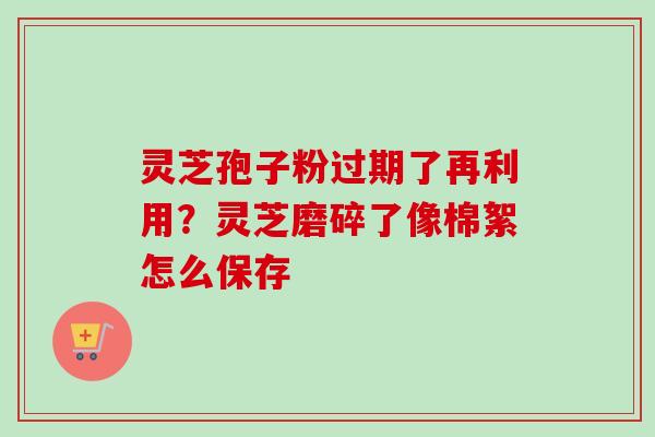 灵芝孢子粉过期了再利用？灵芝磨碎了像棉絮怎么保存