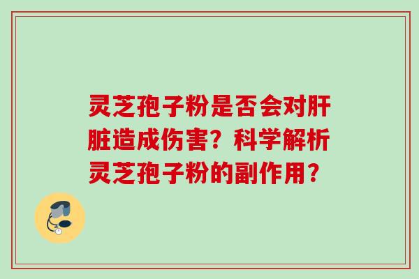 灵芝孢子粉是否会对肝脏造成伤害？科学解析灵芝孢子粉的副作用？