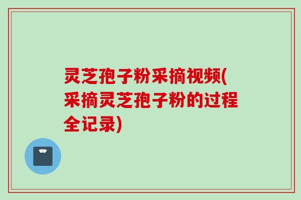 灵芝孢子粉采摘视频(采摘灵芝孢子粉的过程全记录)