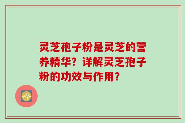 灵芝孢子粉是灵芝的营养精华？详解灵芝孢子粉的功效与作用？