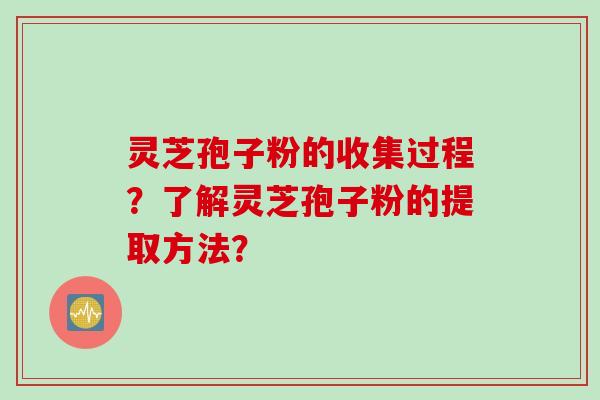 灵芝孢子粉的收集过程？了解灵芝孢子粉的提取方法？