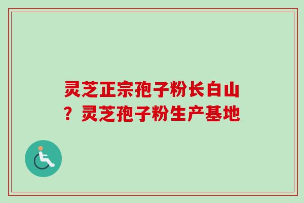 灵芝正宗孢子粉长白山？灵芝孢子粉生产基地