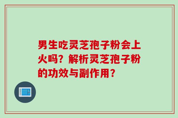 男生吃灵芝孢子粉会上火吗？解析灵芝孢子粉的功效与副作用？