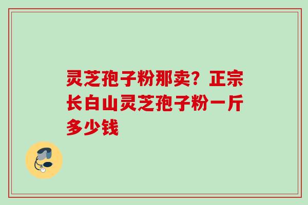 灵芝孢子粉那卖？正宗长白山灵芝孢子粉一斤多少钱