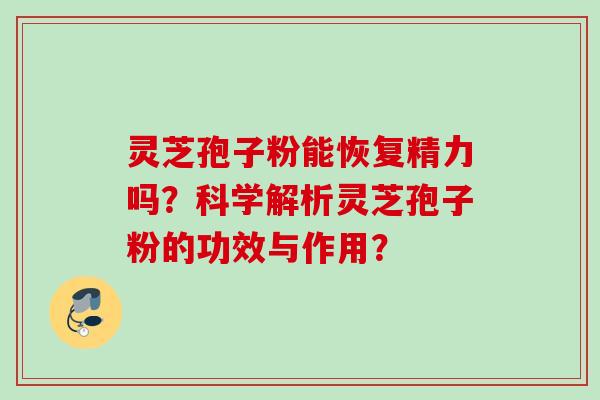 灵芝孢子粉能恢复精力吗？科学解析灵芝孢子粉的功效与作用？