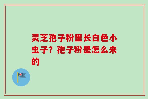 灵芝孢子粉里长白色小虫子？孢子粉是怎么来的