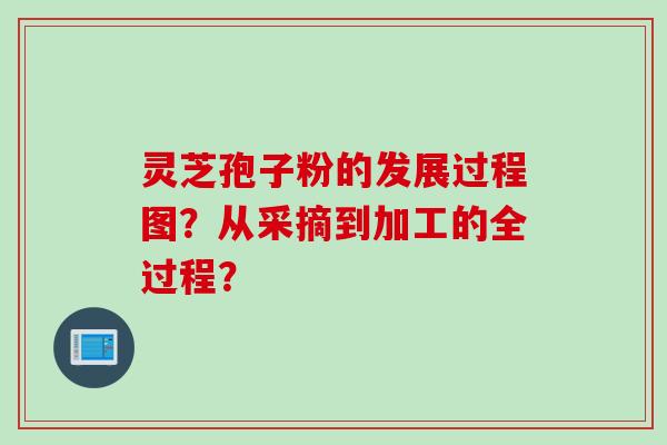 灵芝孢子粉的发展过程图？从采摘到加工的全过程？