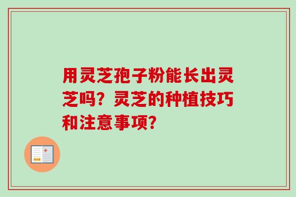 用灵芝孢子粉能长出灵芝吗？灵芝的种植技巧和注意事项？