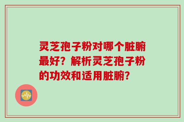 灵芝孢子粉对哪个脏腑最好？解析灵芝孢子粉的功效和适用脏腑？