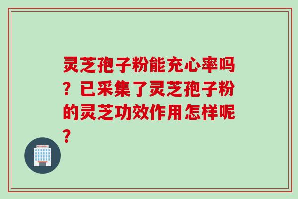 灵芝孢子粉能充心率吗？已采集了灵芝孢子粉的灵芝功效作用怎样呢？