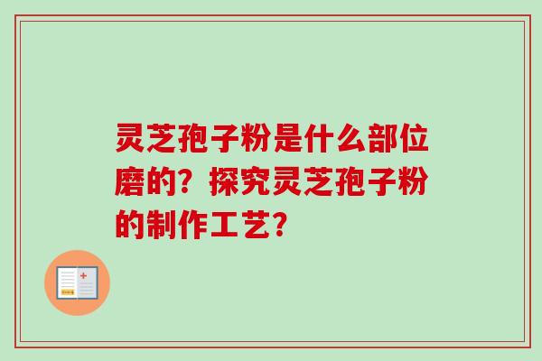 灵芝孢子粉是什么部位磨的？探究灵芝孢子粉的制作工艺？